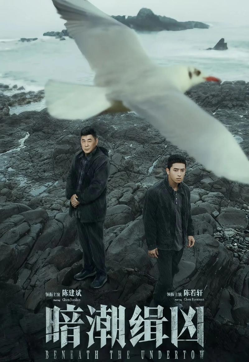 A潮｜缉凶（2025）