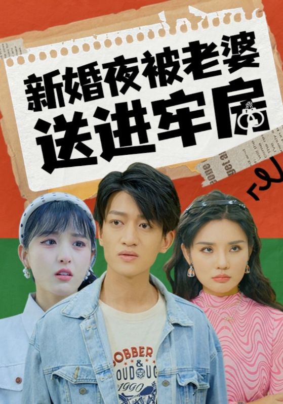 新婚夜被老婆送进牢房(90集)