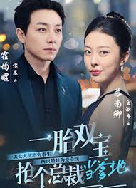 一胎双宝，抢个总裁当爹地–退婚大佬她又美又飒（100集）